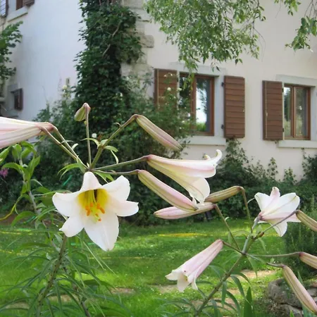 Casa Gaia Grande By Interhome Сasa de vacaciones Višnjan