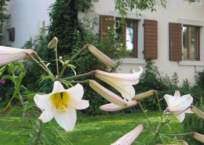 Casa Gaia Grande By Interhome Vikendica Visnjan