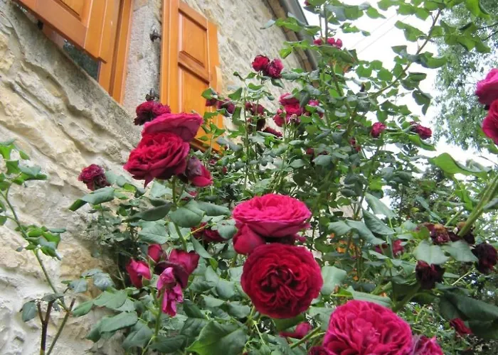 Casa Gaia Grande By Interhome * Visnjan